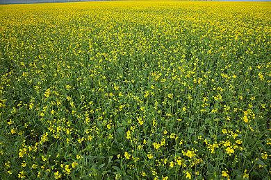 动作RPG《遗迹：第一守卫》发布全新实机宣传片